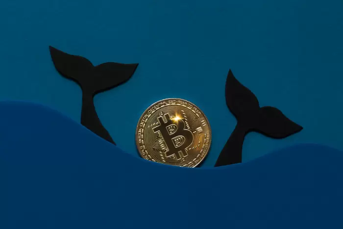 Bitcoin, Millionaire Addresses Plummet 10%..."Whales Quietly Close Wallets"
