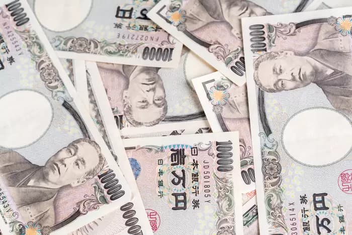 Tokyo Declares 'Full Commitment' to Digital Yen Subsidies... "Cash-Centric Society is a Thing of the Past"