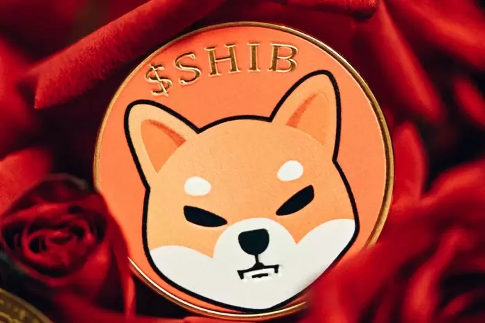 "Shiba Inu rebound? It's an illusion"...Bounces back right before a breakthrough