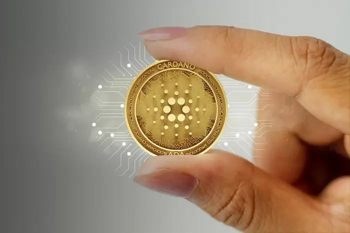 Cardano, Daily Trading Volume Surges 78%... "Preparing for a Dogecoin-level Rally"