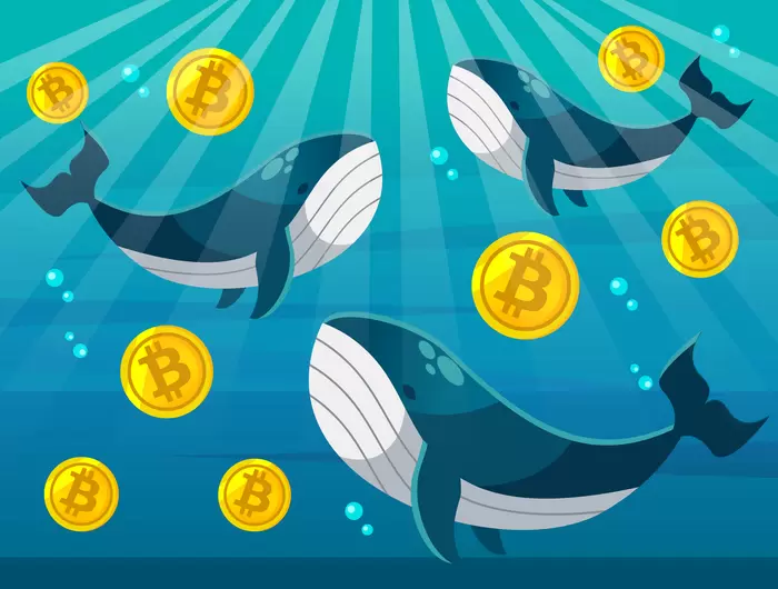 "Whales are Shaking"...Bitcoin, '$110,000' Rally Scenario Activated After Panic Sell
