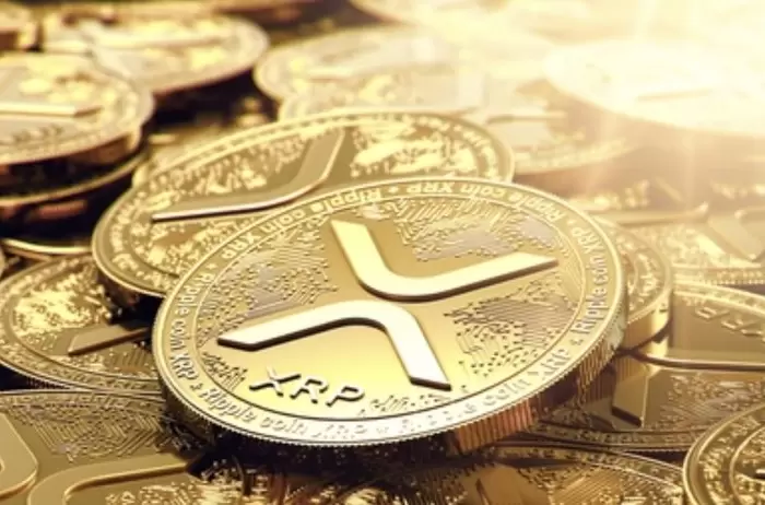 결제량 10배 터졌는데...XRP(리플), 가격은 '곤두박질'