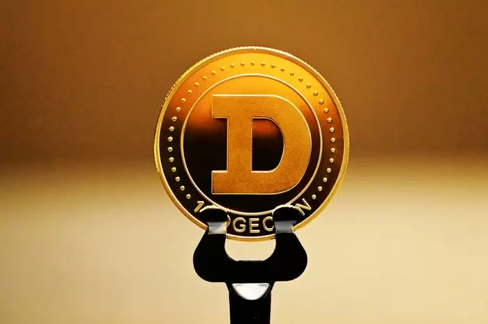 밈코인 몰락 조롱 받았는데...도지코인(DOGE), 1.6달러 반등 시동