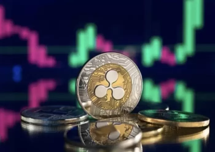 XRP 레저 프로젝트 개발자, XRP(리플) 1,000달러 전망에 '침묵'...왜?