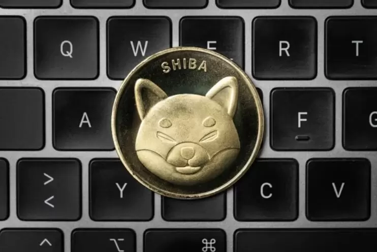 시바이누, 1.24조 SHIB 유출 속 반전 공개..."고래들이 조용히 줍고 있다"
