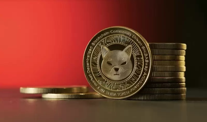 시바이누, 하루 사이 5,050억 개 대이동...고래들이 설계한 폭등 신호?