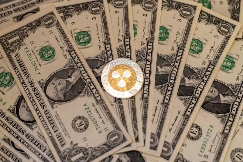 "Speculative Bubble Completely Gone"...XRP, Whales 'Smile' as Binance Leverage Hits New Low