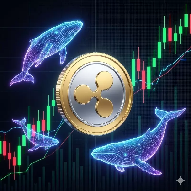 고래들,2,000XRP 매집...랠리 도화선 되나?