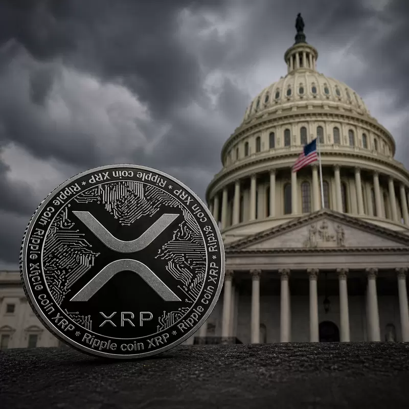XRP, 미국 비밀 계획 핵심 자금?...리플 핵심 인사 "사실무근"