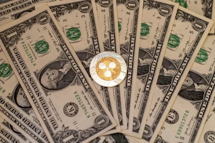 XRP 예치하면 정말 돈 벌까…수익보다 수수료가 더 크다?