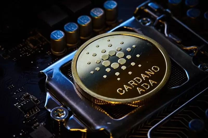"Cardano, funds draining and collapsing"...Upgrade expectations fade