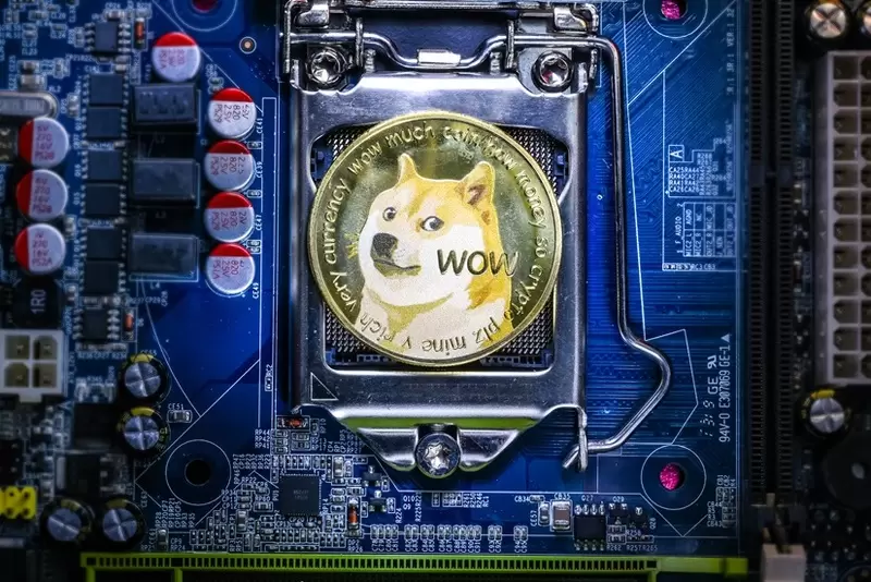 Dogecoin, thought it was a crash but it's rising?... "Flipped one chart and saw everything"