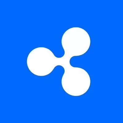 리플 파트너 은행들도 외면한 XRP의 굴욕… 껍데기만 남은 호재 속 개미들 무덤 되나