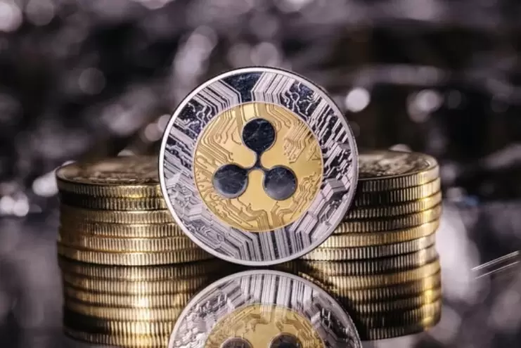 데이비스 슈워츠 "XRP(리플) 스테이킹, 타인에게 은행 권력 쥐여주는 꼴"
