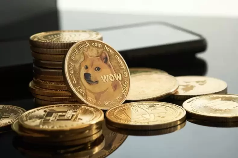 도지코인(DOGE) "60일 안에 자산 인출 안 하면 소멸"...추가 폭락 경고등
