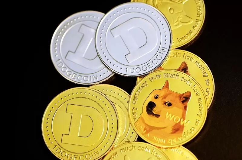 도지코인(DOGE), 상위 지갑이 시장 쥐락펴락..."1,000개만 있어도 충분"