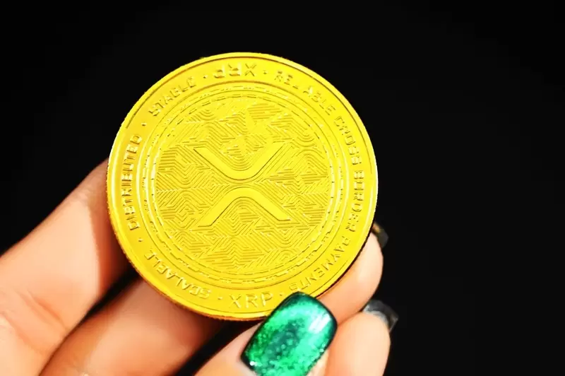 XRP(리플), 다시 바닥권 도달...공포 매도 소진 속 반등 시도