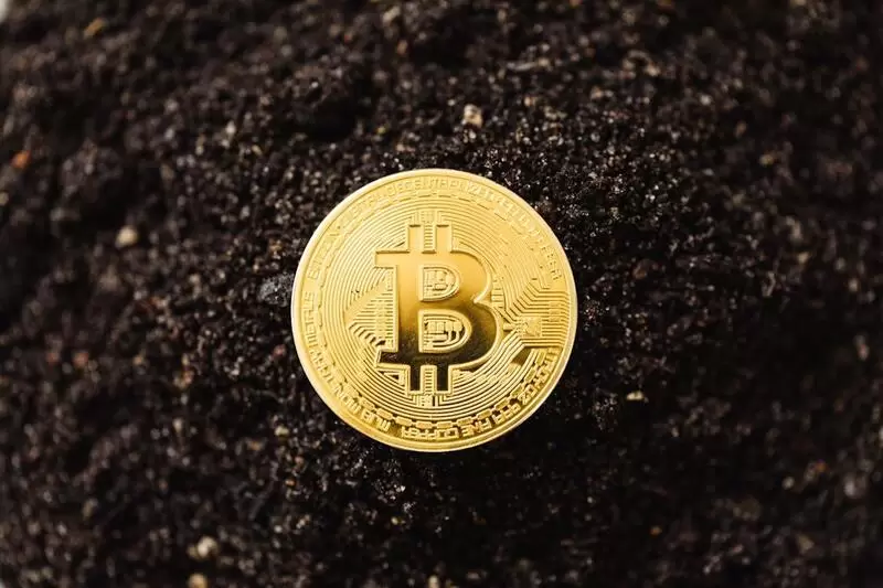 비트코인(BTC), 소액 거래 비중 80% 수직 상승...가격은 주춤·네트워크만 폭발