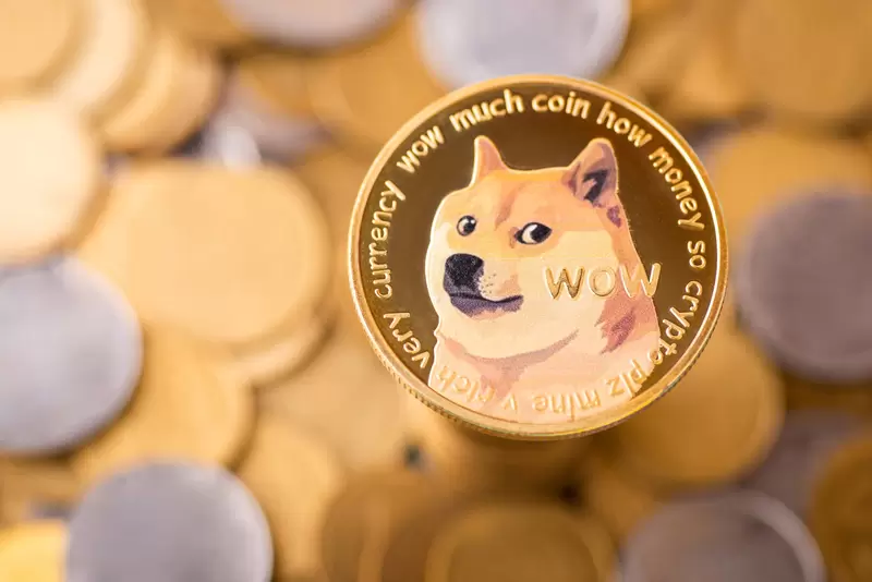 도지코인(DOGE), 고래 2억 개 매집 뒤 1달러?