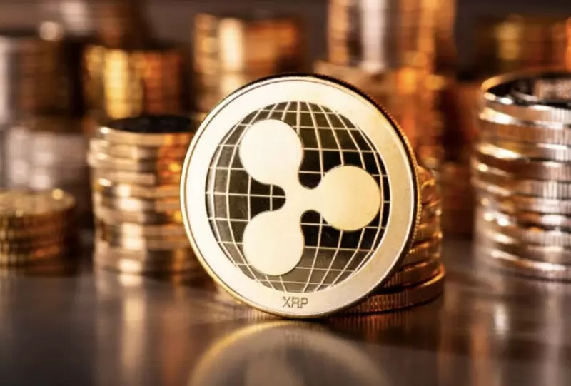 XRP 팔지 않고 돈 빌리면 끝?..."공짜 현금으로 착각하다 계좌 털린다" 경고