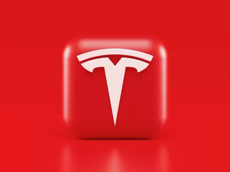 테슬라(TSLA), FSD 업데이트로 8% 급등..."안전 사고 악재 지웠다"