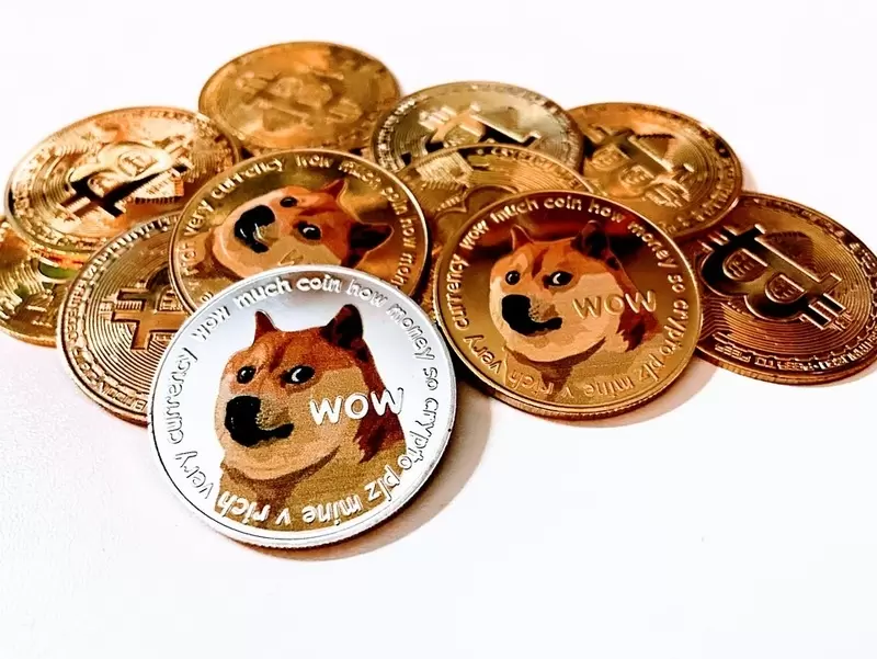도지코인(DOGE), 하락장서 가격 대신 '실사용성' 강조..."1 DOGE는 1 DOGE"