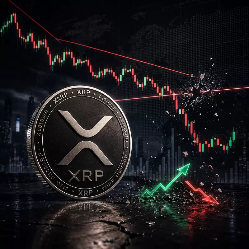XRP(리플), 또 '1달러' 시험대로...고점·저점 동반 하락 반복 악순환